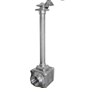 Photo de la valve V17